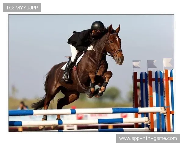 马术障碍赛名将摔下马仍坚强完赛，精神感动观众