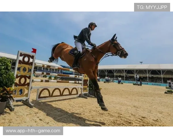 体育赛事风控体系强化，保障赛事顺利进行，体育赛事风险的处理方法